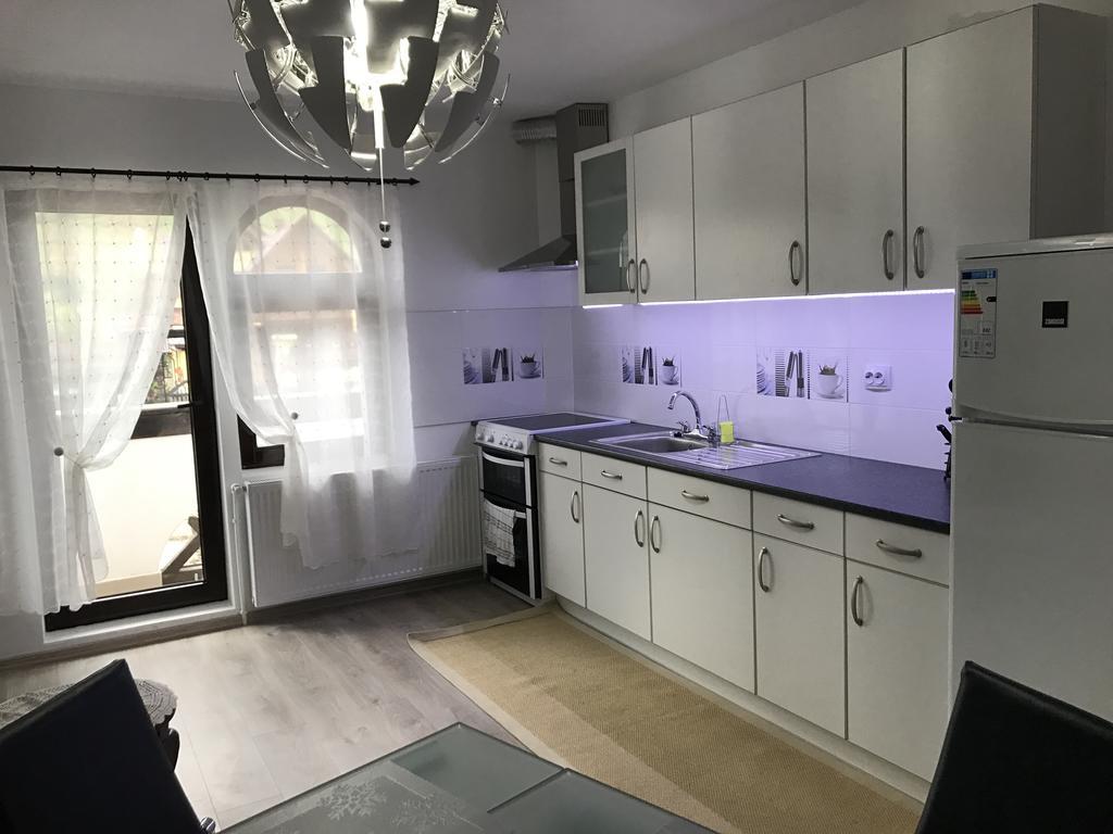 The Castle Apartment Гура-Гуморулуй Номер фото